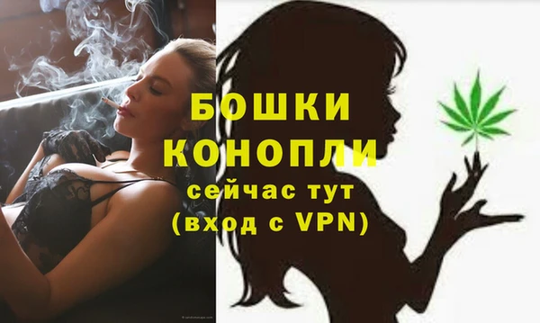 спиды Вязьма