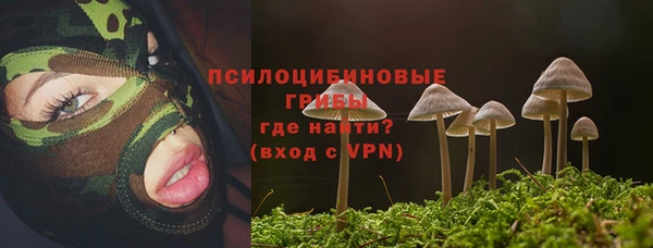МДПВ Вяземский