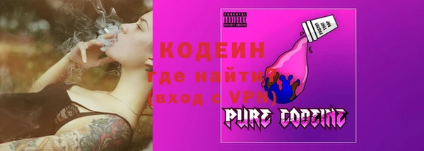 МДПВ Вяземский