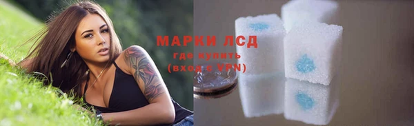 спиды Вязьма