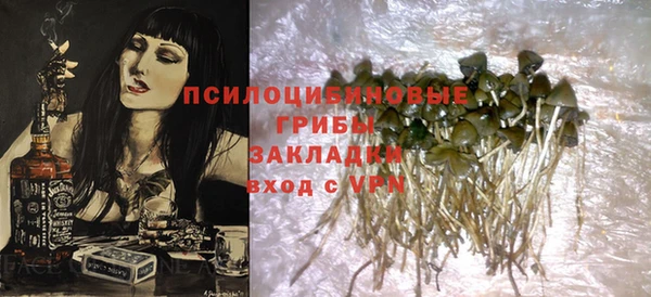МДПВ Вяземский