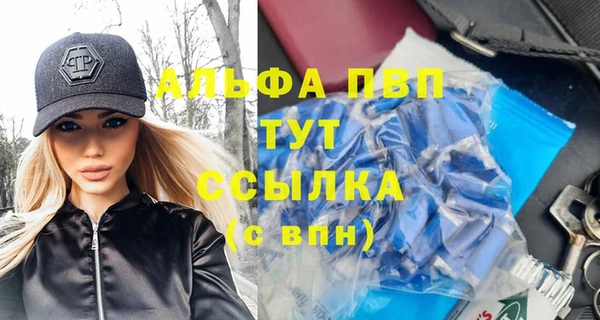 МДПВ Вяземский