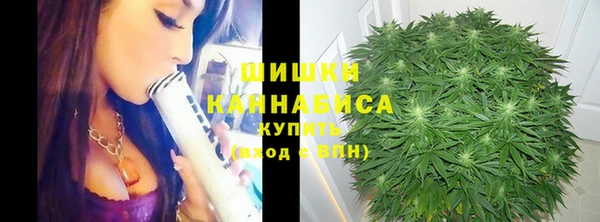 спиды Вязьма