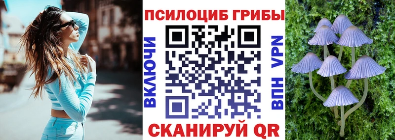 Псилоцибиновые грибы GOLDEN TEACHER наркошоп Смоленск